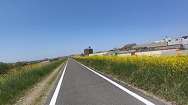 gx012460.mp4_snapshot_00.09_thumb.jpg