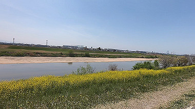 gx012463.mp4_snapshot_00.04_thumb.jpg