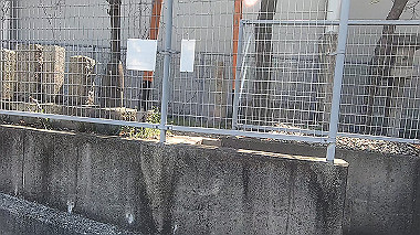 gx012476.mp4_snapshot_00.31_thumb.jpg