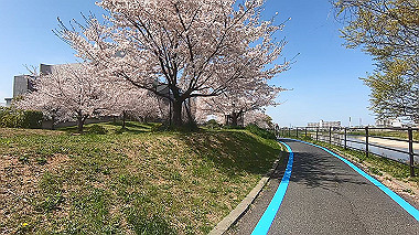 gx012479.mp4_snapshot_01.18_thumb.jpg