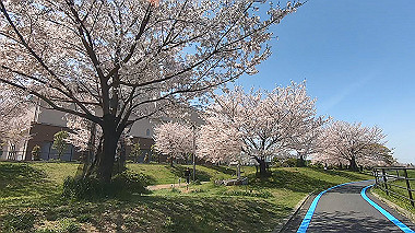 gx012480.mp4_snapshot_00.02_thumb.jpg