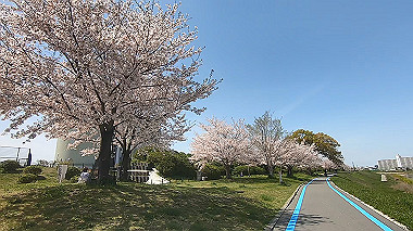 gx012480.mp4_snapshot_00.13_thumb.jpg