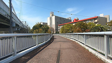 gx012491.mp4_snapshot_00.21_thumb.jpg