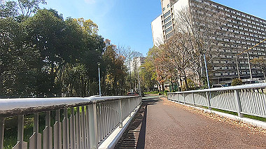 gx012491.mp4_snapshot_00.36_thumb.jpg