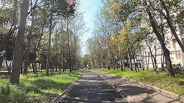 gx012491.mp4_snapshot_00.48_thumb.jpg