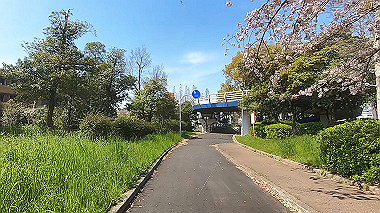 gx012492.mp4_snapshot_00.16_thumb.jpg