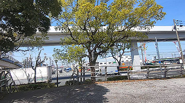 gx012492.mp4_snapshot_00.31_thumb.jpg