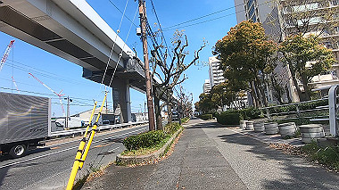 gx012492.mp4_snapshot_11.23_thumb.jpg