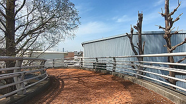 gx012493.mp4_snapshot_00.57_thumb.jpg