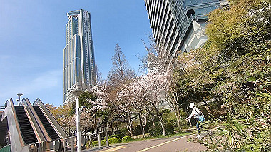 gx012503.mp4_snapshot_00.01_thumb.jpg
