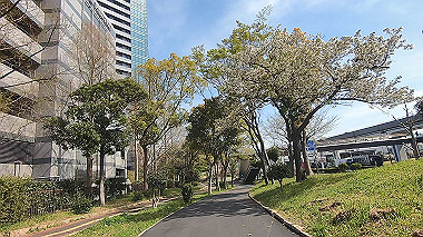 gx012504.mp4_snapshot_00.18_thumb.jpg