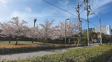 gx012528.mp4_snapshot_01.32_thumb.jpg