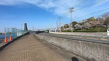 gx012533.mp4_snapshot_00.12_thumb.jpg