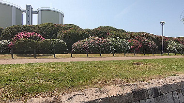 gx012544.mp4_snapshot_00.11_thumb.jpg