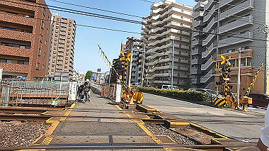 gx012559.mp4_snapshot_00.15_thumb.jpg