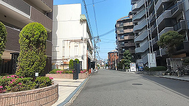 gx012562.mp4_snapshot_00.55_thumb.jpg