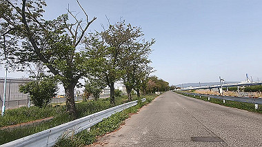 gx012563.mp4_snapshot_00.01_thumb.jpg