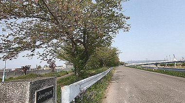 gx012563.mp4_snapshot_00.11_thumb.jpg