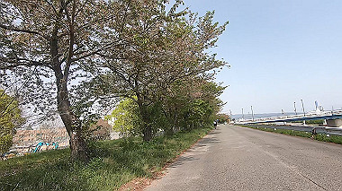 gx012563.mp4_snapshot_00.25_thumb.jpg