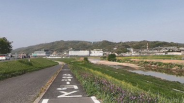 gx012873.mp4_snapshot_00.36_thumb.jpg
