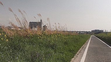 gx012874.mp4_snapshot_00.05_thumb.jpg