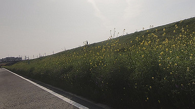 gx012874.mp4_snapshot_00.07_thumb.jpg