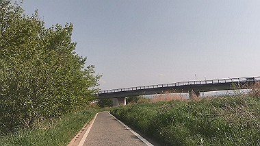gx012877.mp4_snapshot_00.38_thumb.jpg
