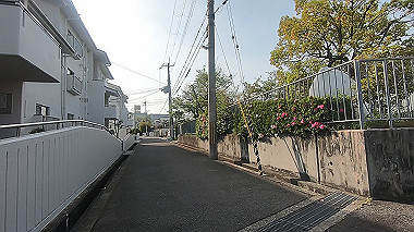 gx012883.mp4_snapshot_01.26_thumb.jpg