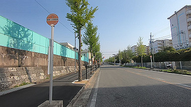 gx012893.mp4_snapshot_00.12_thumb.jpg