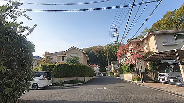 gx012896.mp4_snapshot_01.22_thumb.jpg
