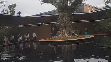 gx012908.mp4_snapshot_00.06_thumb.jpg