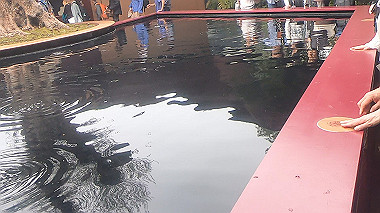gx012908.mp4_snapshot_00.22_thumb.jpg