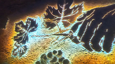 gx012909.mp4_snapshot_00.21_thumb.jpg