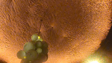 gx012909.mp4_snapshot_00.41_thumb.jpg