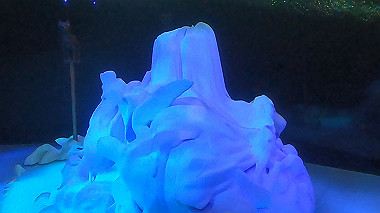 gx012913.mp4_snapshot_00.36_thumb.jpg