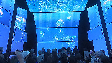 gx012944.mp4_snapshot_00.32_thumb.jpg