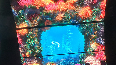 gx012945.mp4_snapshot_00.30_thumb.jpg