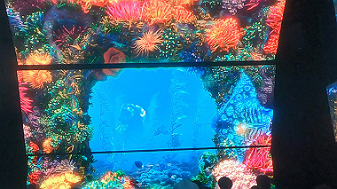 gx012945.mp4_snapshot_00.33_thumb.jpg