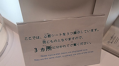 gx012967.mp4_snapshot_00.27_thumb.jpg