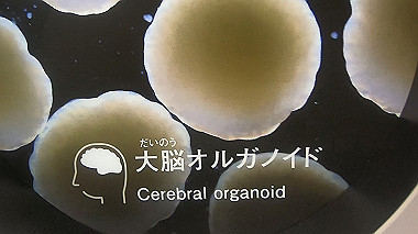 gx012968.mp4_snapshot_00.07_thumb.jpg