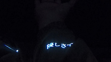 gx012981.mp4_snapshot_00.10_thumb.jpg