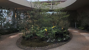 gx012984.mp4_snapshot_00.01_thumb.jpg