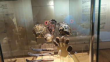 gx012991.mp4_snapshot_00.36_thumb.jpg