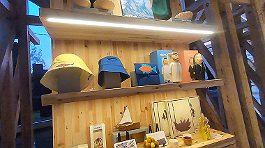 gx012994.mp4_snapshot_00.12_thumb.jpg