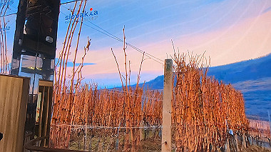 gx013064.mp4_snapshot_00.44_thumb.jpg