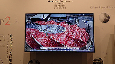 p4280008_thumb.jpg
