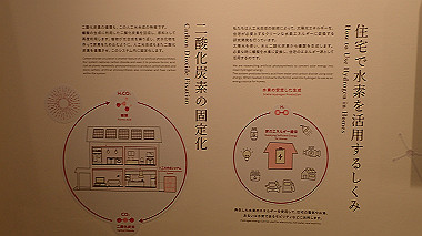 p4280009_thumb.jpg