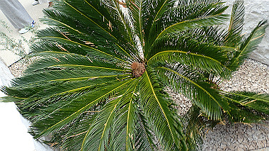 p4280038_thumb.jpg