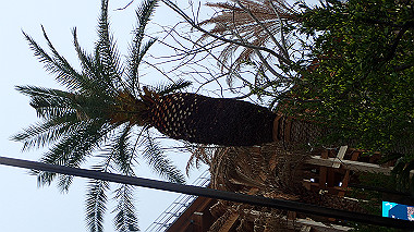 p4280043_thumb.jpg