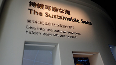 p4280065_thumb.jpg